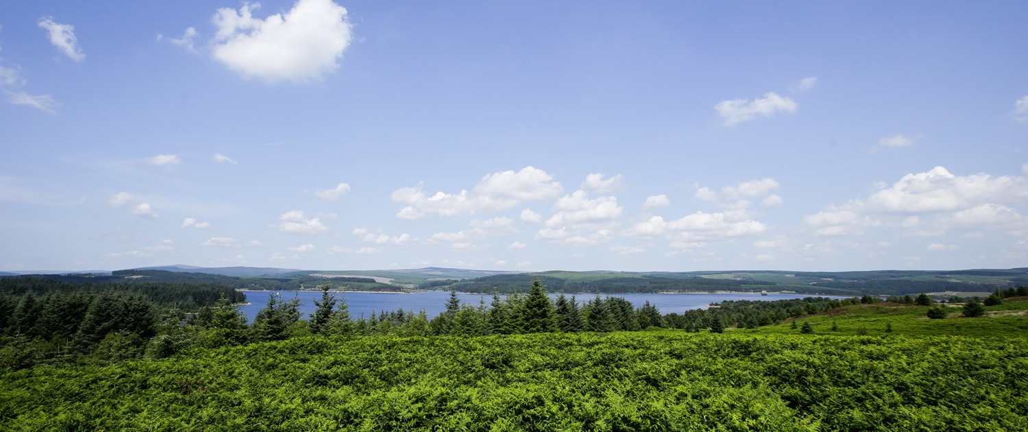 Northumberland-Self-Catering-Kielder-water-view